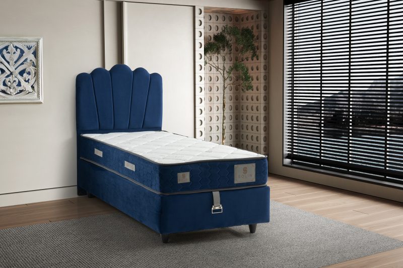 Parla Blue